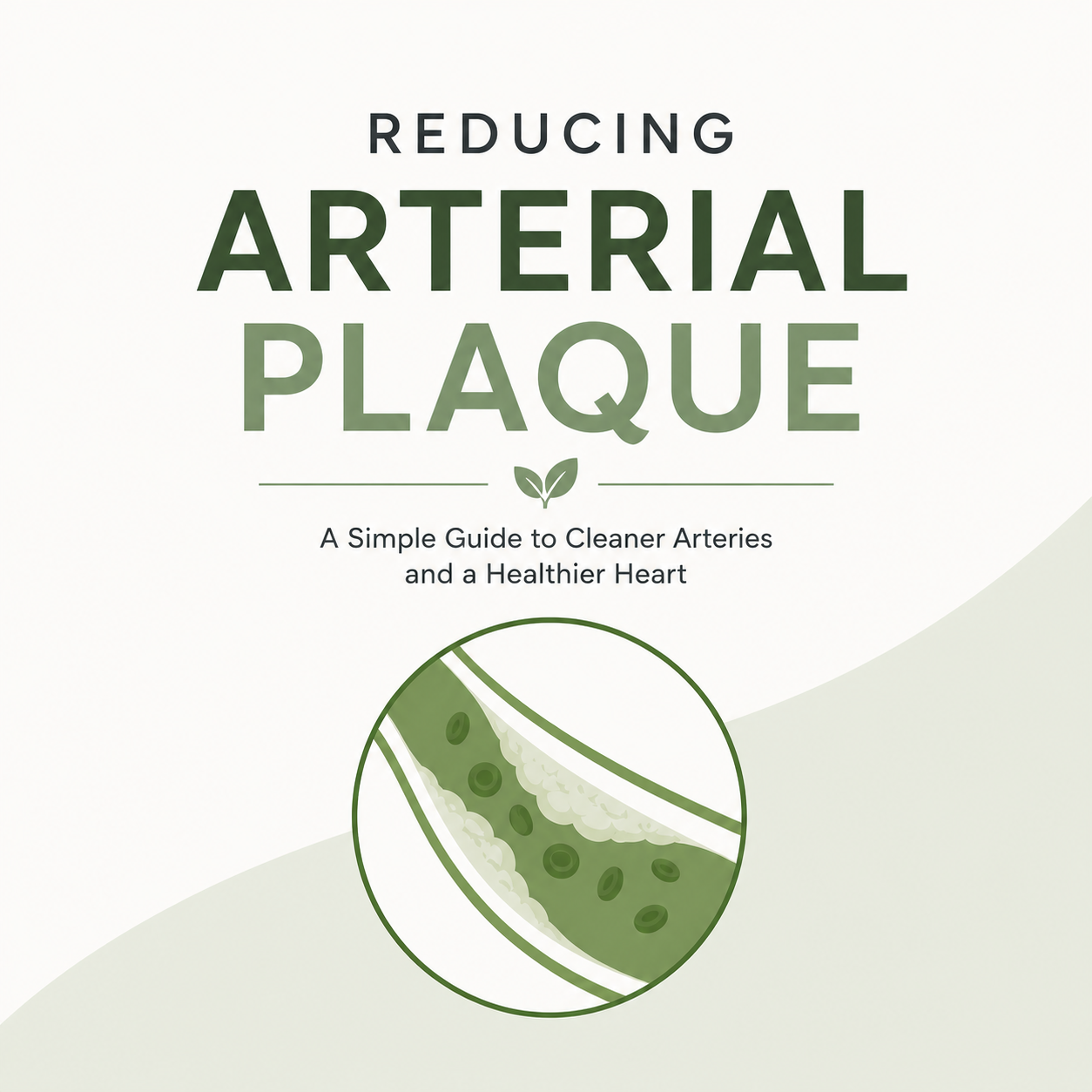 Reducing Arterial Plaque eBook