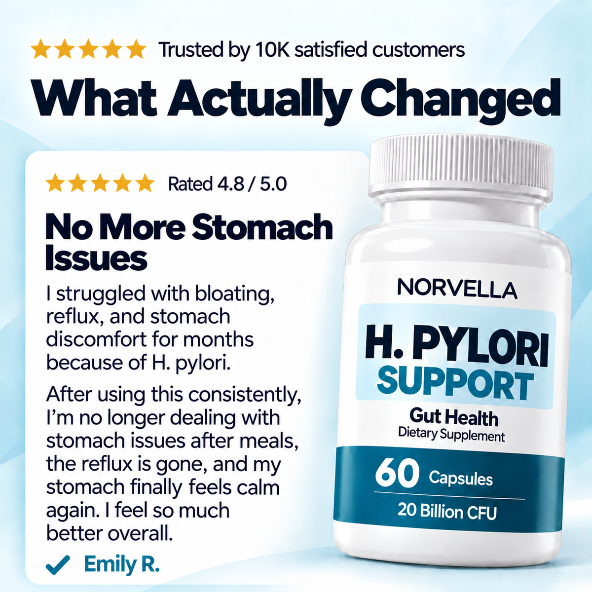 Norvella H. Pylori Support