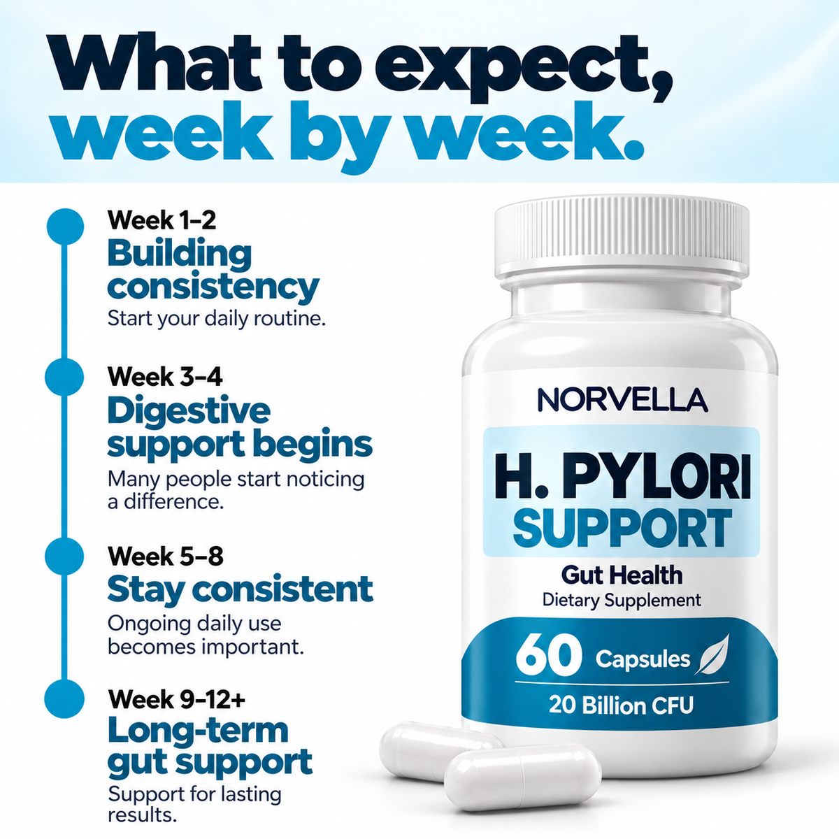 Norvella H. Pylori Support