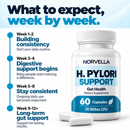 Norvella H. Pylori Support